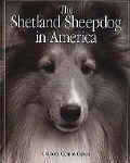 The Shetland Sheepdog in America